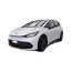 Barres de remorquage Cupra Born